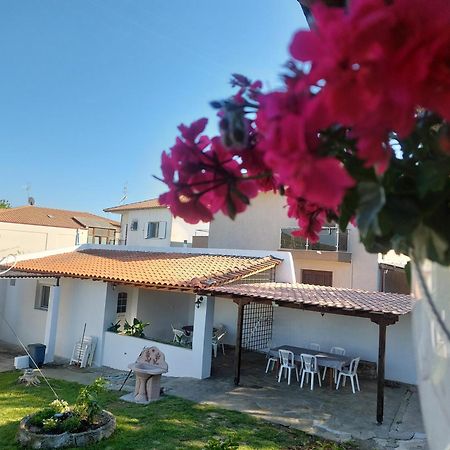 Garden Stay Agios Pavlos  エクステリア 写真